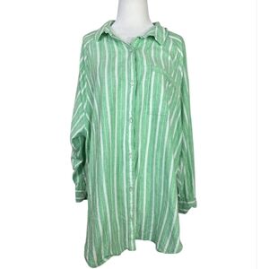 Aerie Linen blend Green and White Stripes relaxed fit  Button Down Shirt